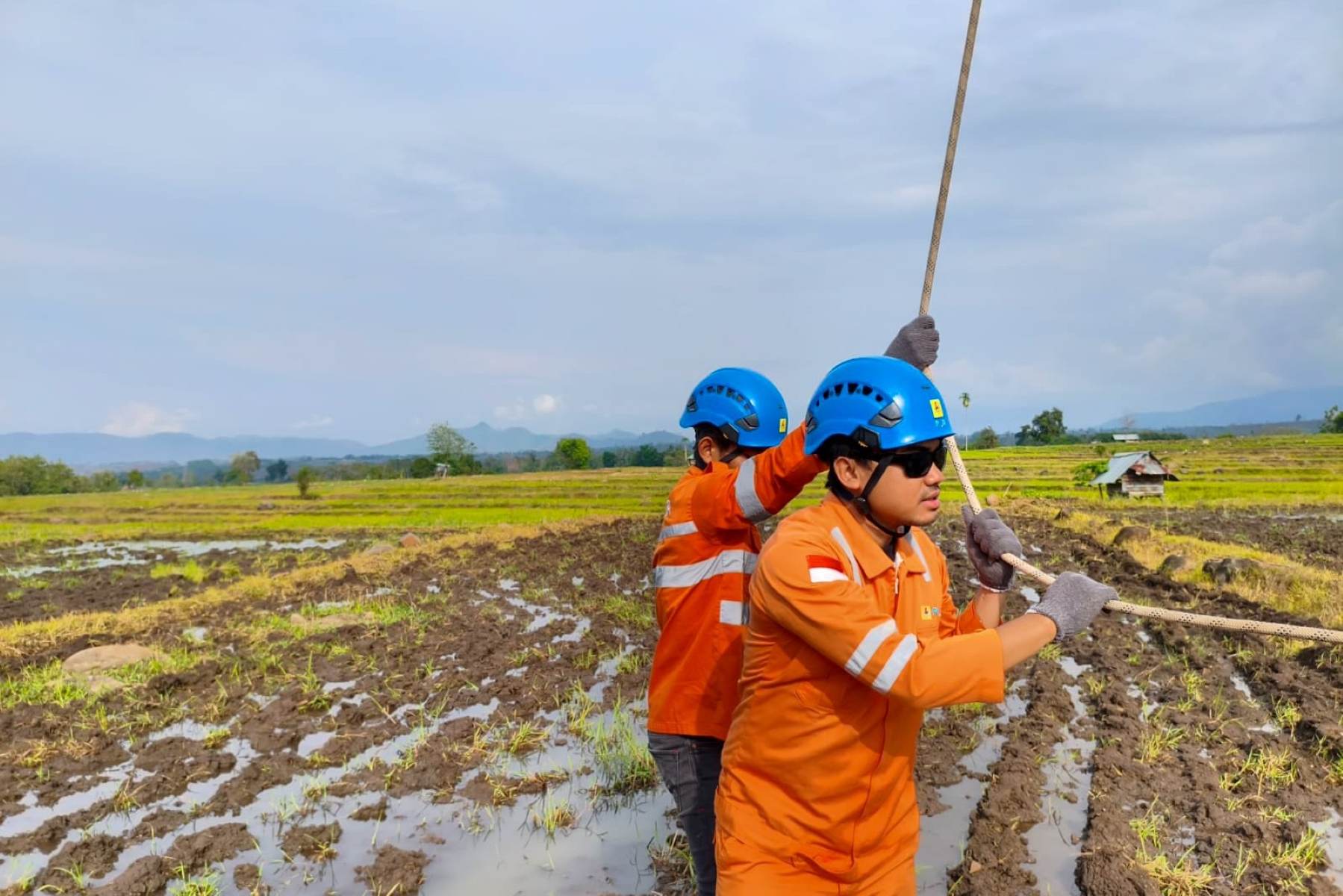PLN Perkuat Keandalan Sistem Kelistrikan Sumbawa Melalui Pemeliharaan Jaringan Transmisi.